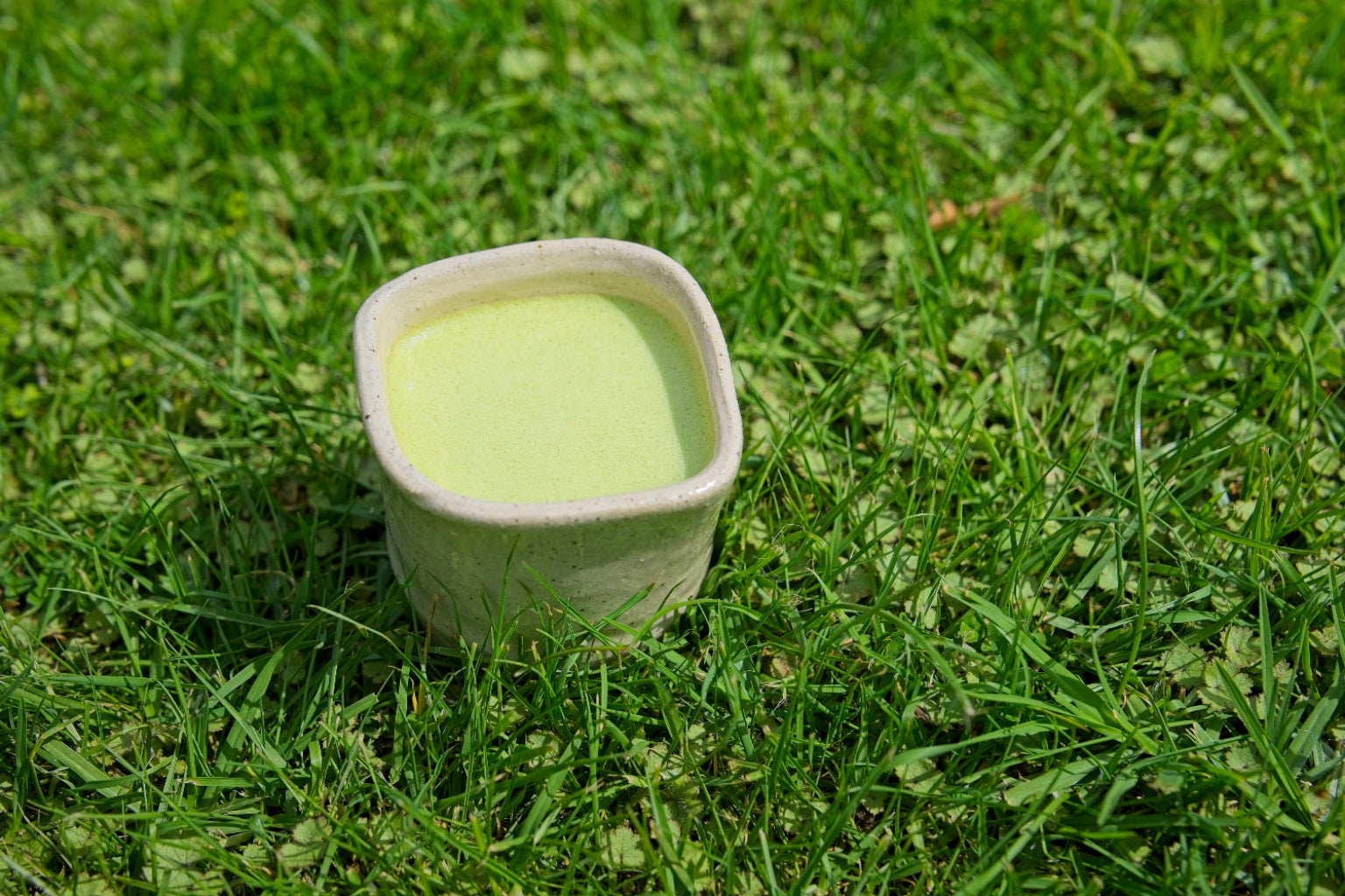 Genmaicha (1st Harvest Matcha & Roasted Brown Rice) - Shiga [Signature Grade]